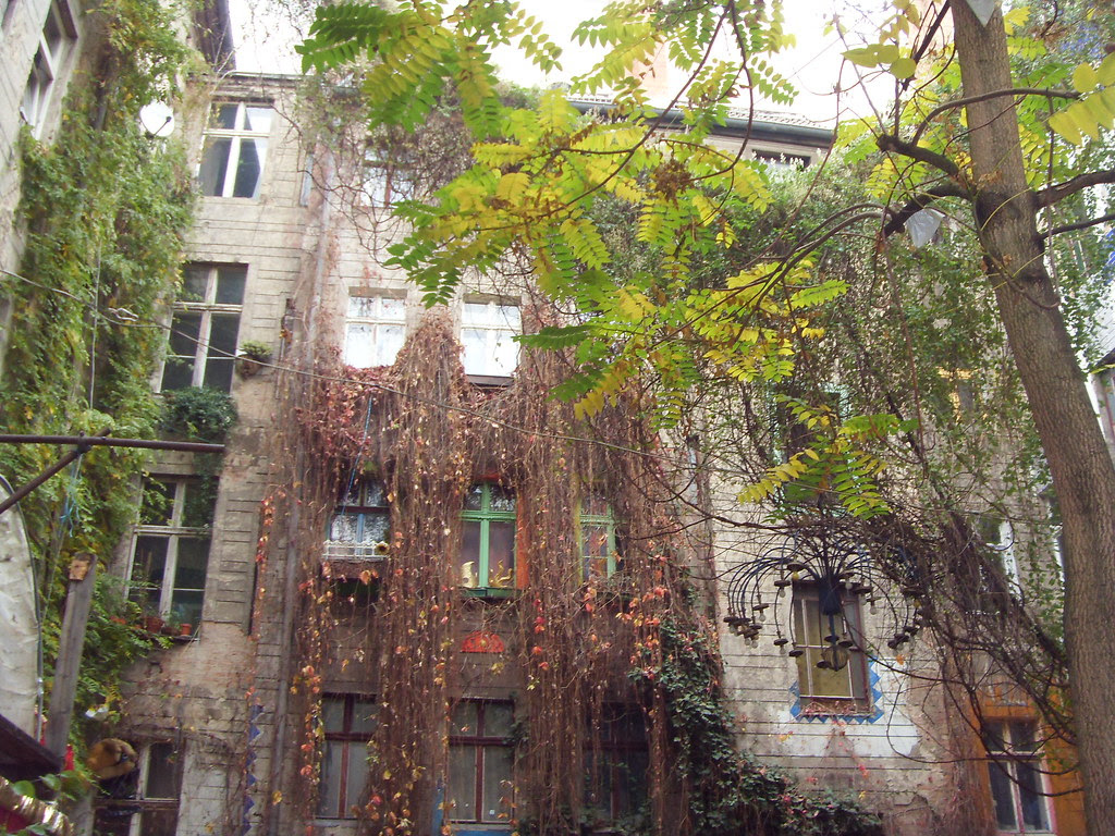 SDC10143.JPG