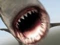 Mega Shark Vs Crocosaurus (2010)