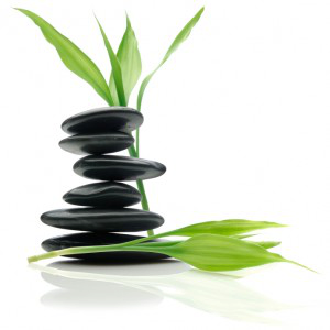 Free Zen Cliparts Download Free Clip Art Free Clip Art On Clipart Library