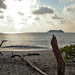 Manuel Antonio Beach