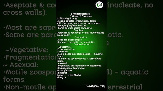 kingdom fungi ~ phycomycetes all ncert short notes @PRAGYAANCAREERINSTITUTE #neet #trending