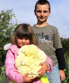 Vege