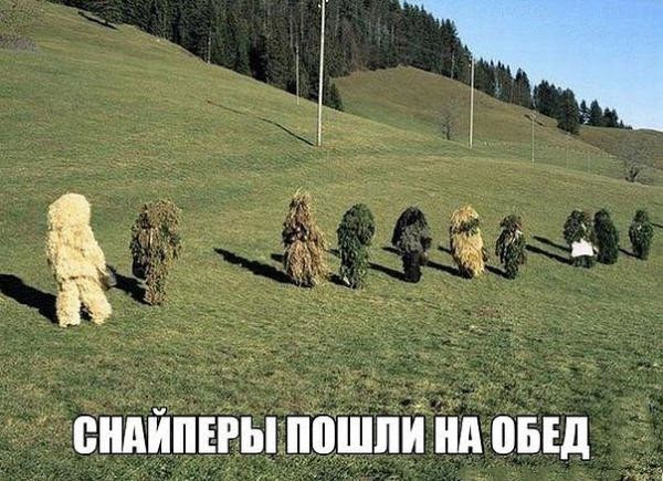 Смешные картинки с надписями от Теперь я лягушка за 04 ...