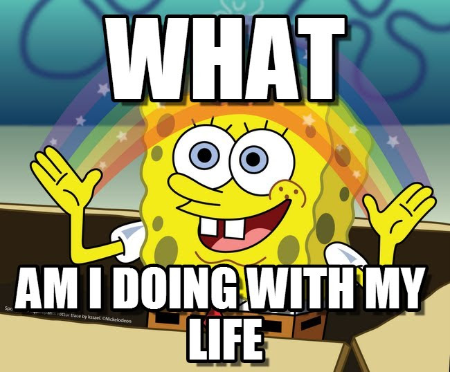 Image result for what am i doing with my life meme
