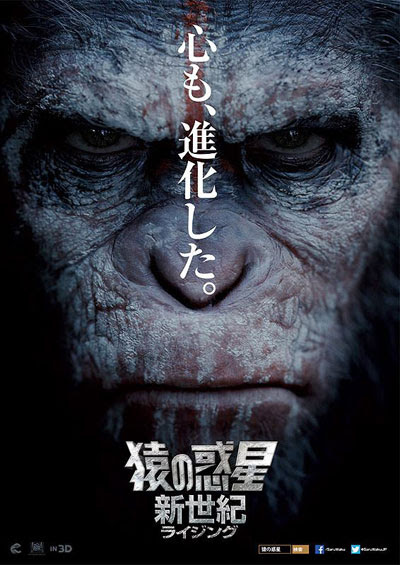 映画