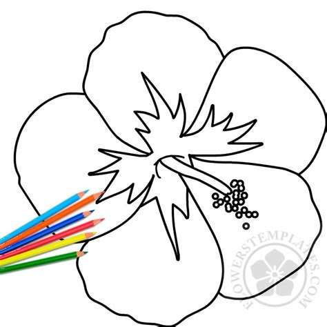  hibiscus flowers templates