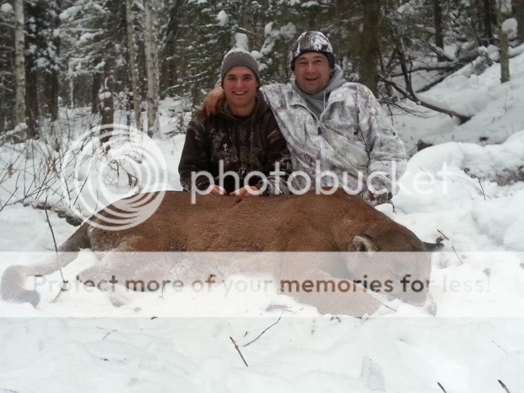 Alberta, Canada &amp; Wyoming Big Cats, March 2013 | GON Forum
