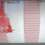 Cutremur puternic, de suprafata, in Vrancea (Video)