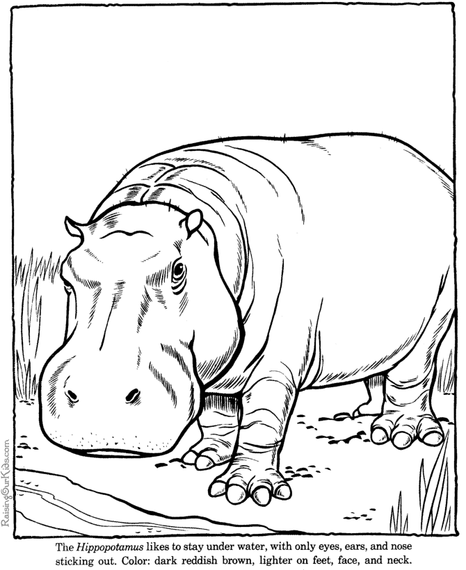 ... coloring pages these free printable zoo animal coloring pages provide