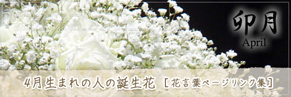 4月生まれの人の誕生花 の花言葉 誕生花 チルの工房 无域屋 花札庵