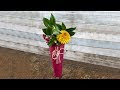 [10000ダウンロード済み√] ヒペリカム 花瓶 243976-ヒペリカム 花瓶