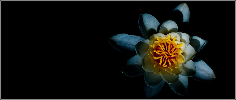 _DSC5529-1-52