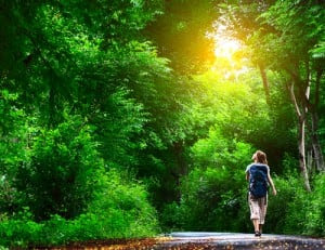 nature walk