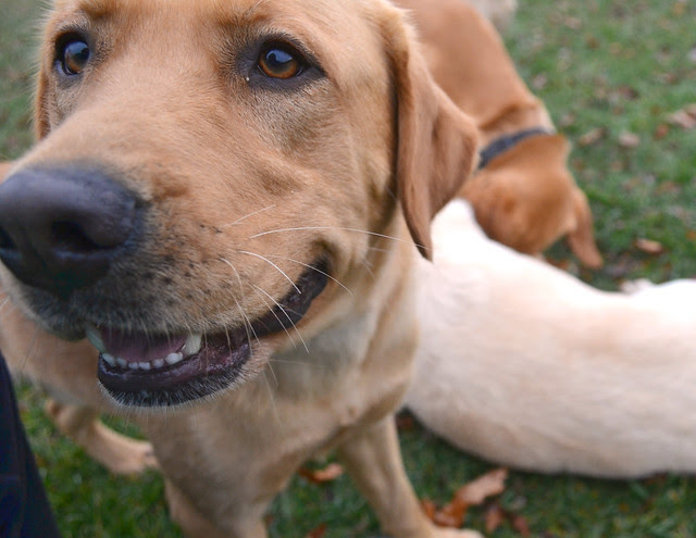 jake's got beautiful eyes