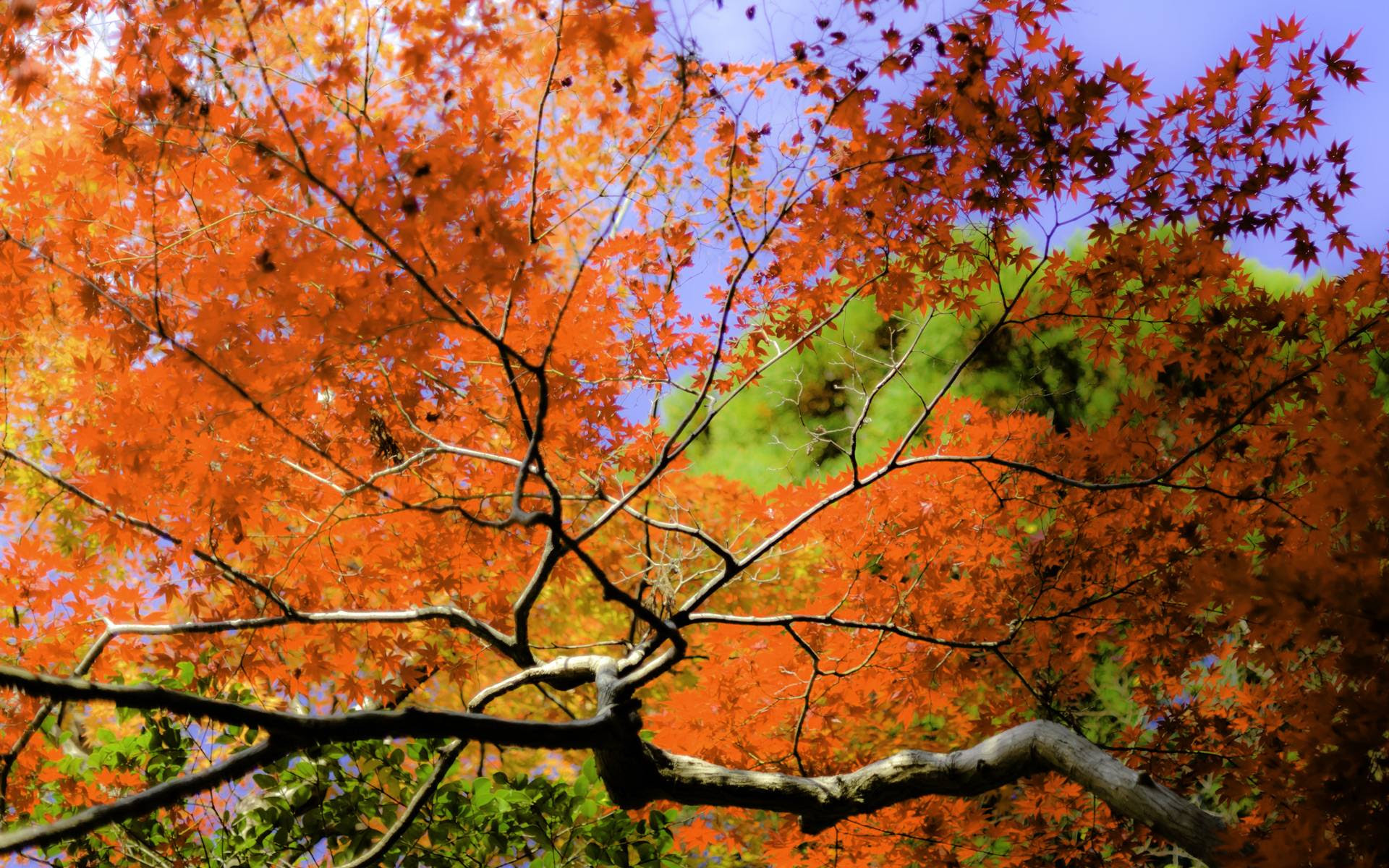 Artsy Desktop Backgrounds Wallpaper Cave