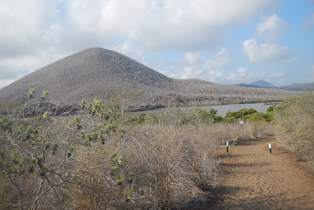 Floreana hills