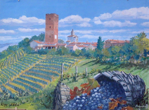 Vinyards-11