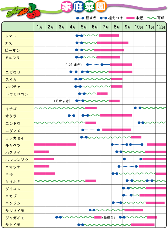 家庭菜園 主な野菜の栽培暦 桜ん坊ブログ