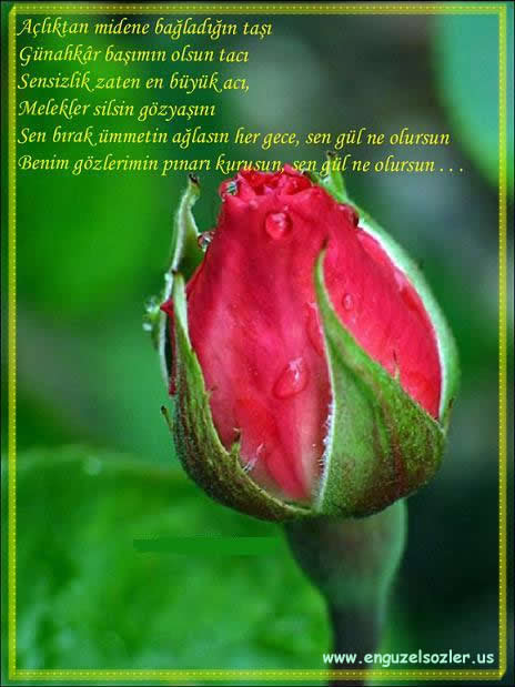Güzel Sözler