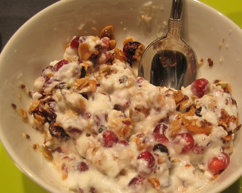 Greek Yogurt w/ Pomegranate and Homemade Granola