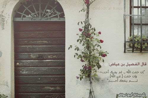 إرتوآء .. 2