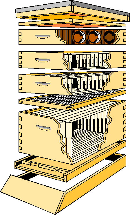 Download Top bar beehive plans for sale Build by Own