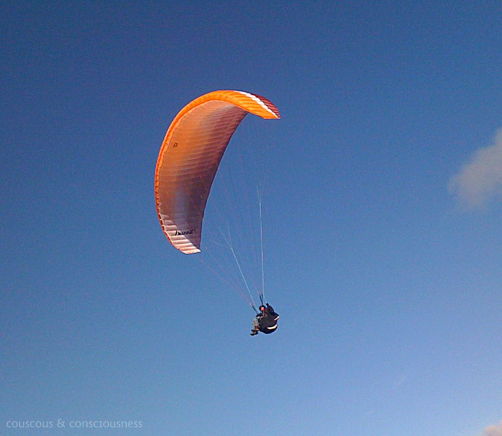 Godley Head 10, cropped