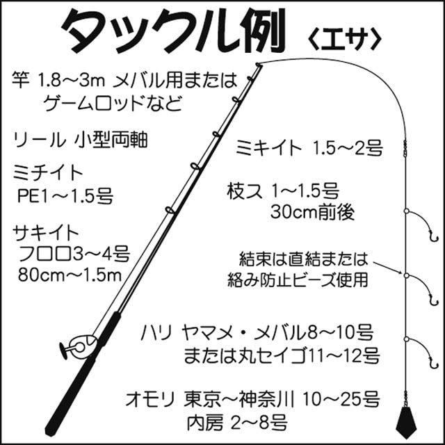 船釣りで狙うメバル エサ ルアー別にイラスト付きで解説 東京湾 Tsurinews