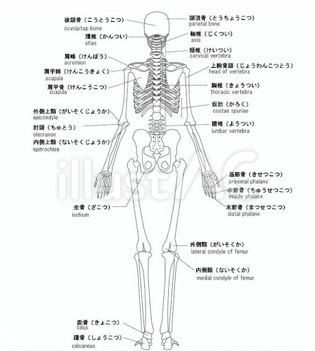 イメージ