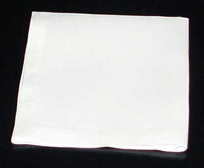 Napkin Fold #3