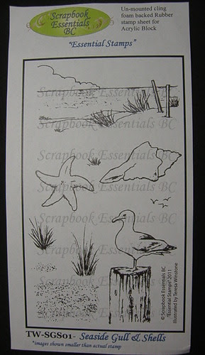 Seaside Gull & Shells