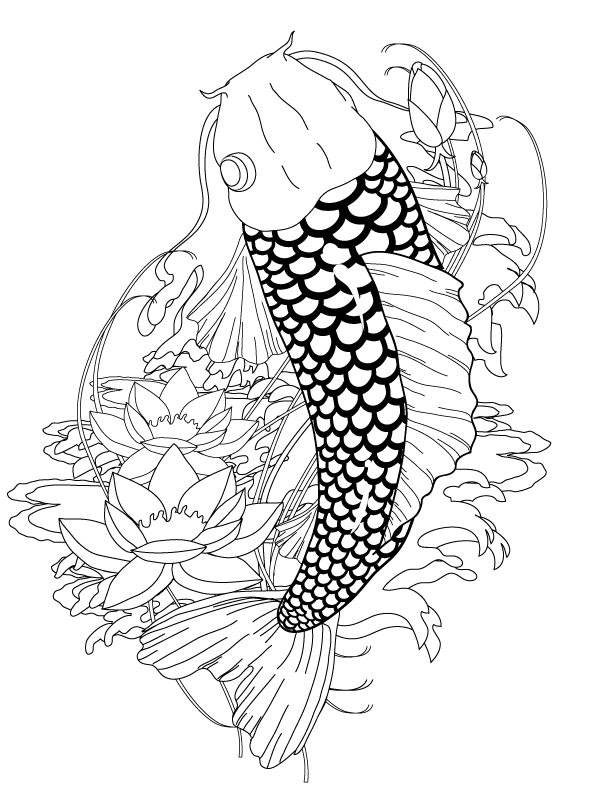 Koi fish coloring pages to download and print for free