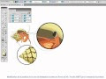 Plus de 200 effet loupe sur image 433381-Effet loupe sur image  word