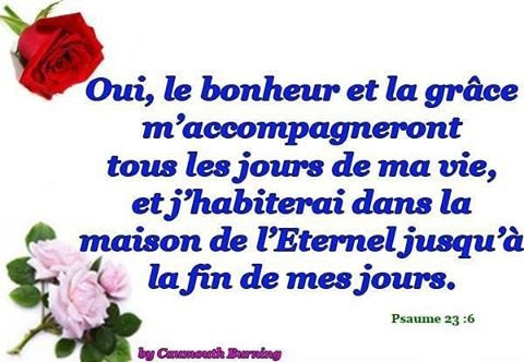 parole pour mon anniversaire Psaume 23 6 parole pour mon anniversaire