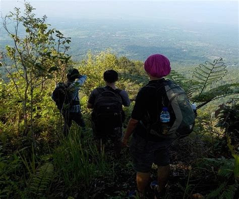 gunung aseupan tempat berkemah  asri  pandeglang