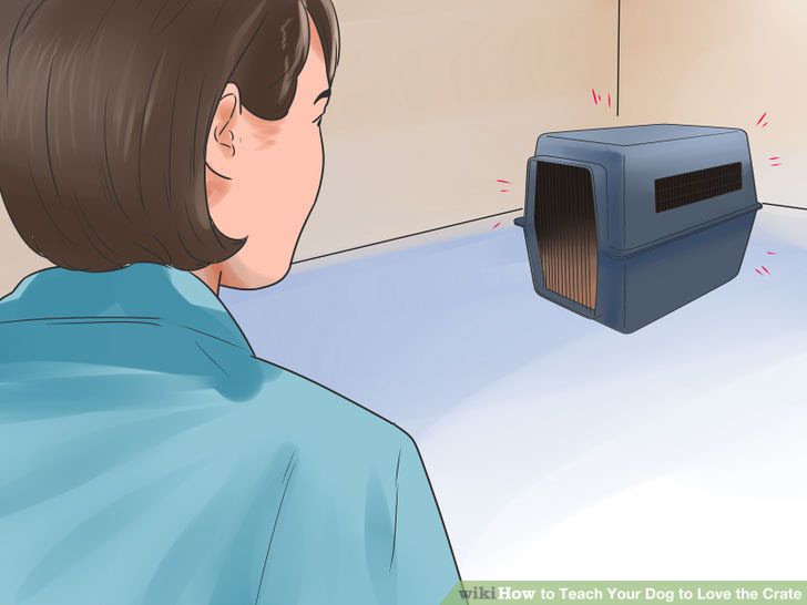 Teach Your Dog to Love the Crate Step 3 Version 3.jpg