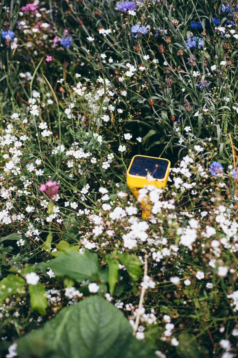 oven fried green tomatoes-10.jpg