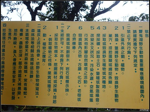 DSC06669