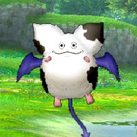 モーモン ドラクエ10 経験値 Hp アイテム 白宝箱など
