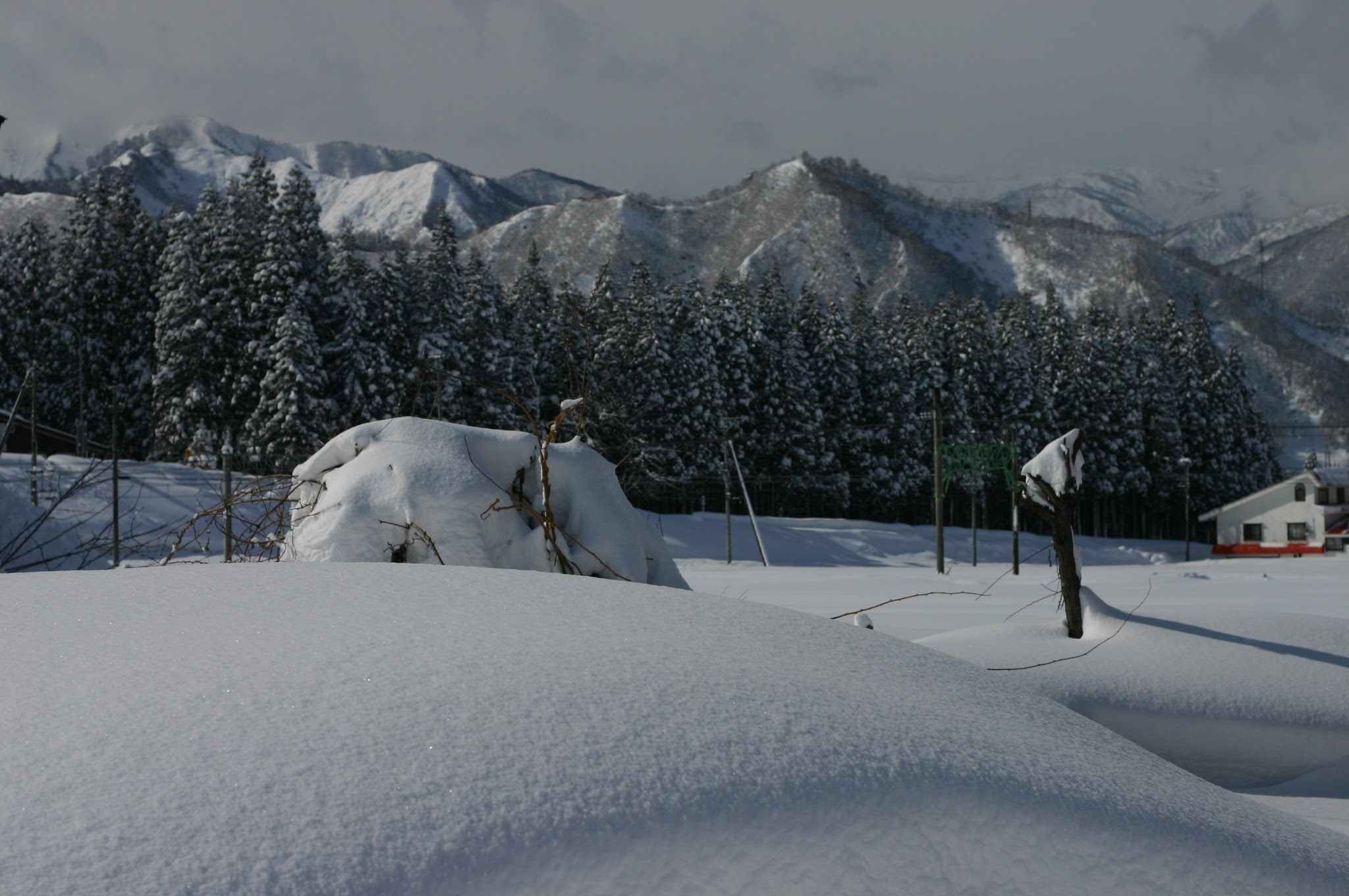 新潟の雪景色 00ピクセル以上のフリー写真素材集