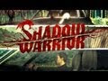 Freebie-Grab Shadow Warrior PC game for free from Steam