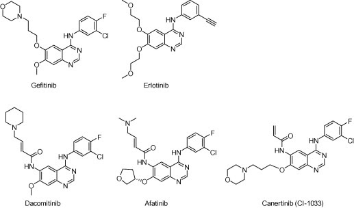 Summary of 1st generation and 2nd generation EGFR inhibitors.