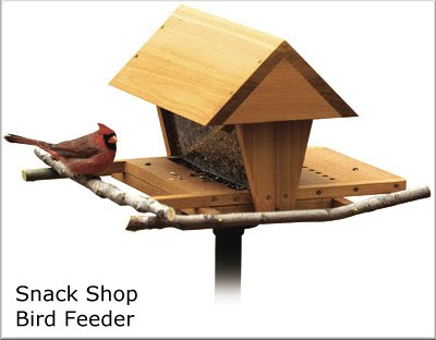 How to build a bird feeder for kids  HowToSpecialist How to Build 