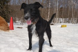 の　エカチェリーナ