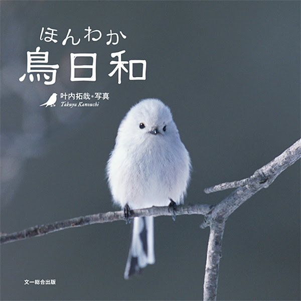 叶内拓哉 写真集 ほんわか鳥日和 発売 営業日は毎日更新 ホビーズワールドスタッフブログ
