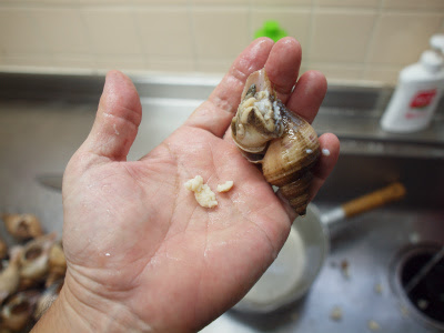 つぶ貝の煮付け 下茹して唾液腺をとる 魚料理と簡単レシピ