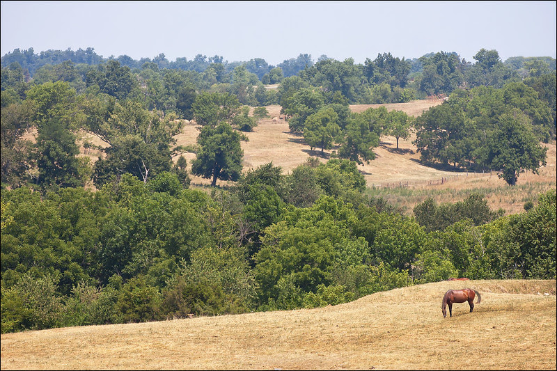 Peaceful Hills