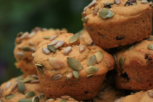 Pumpkin Muffins
