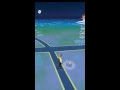 Pokemon GO Hack Proves Ditto Is Real