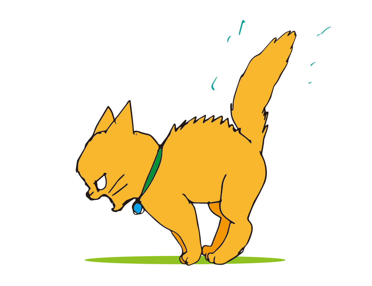 猫のしっぽはとても大切なのです 猫の総合情報サイト ペットスマイルニュースforネコちゃん